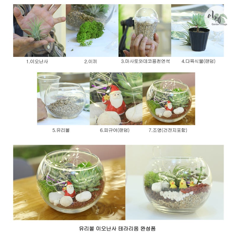 유리볼테라리움 DIY-KIT