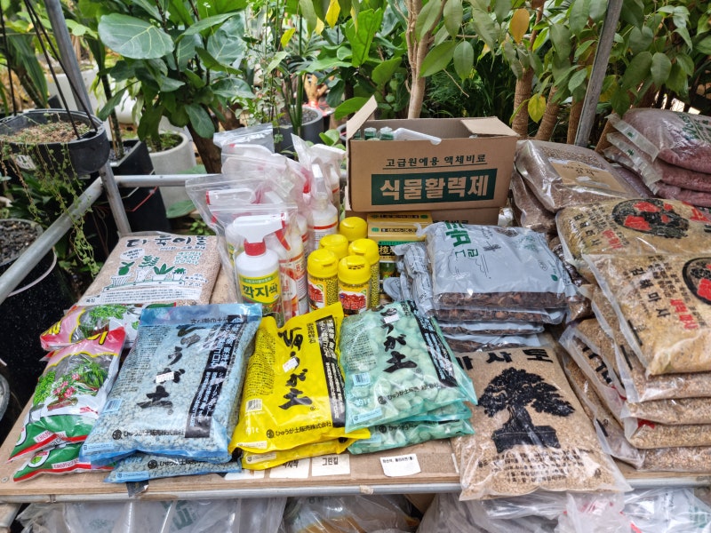이레가든빌리지 분갈이 흙의 종류