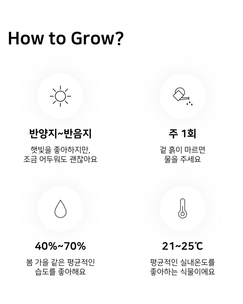 이레가든빌리지 아디안텀 고사리 키우기