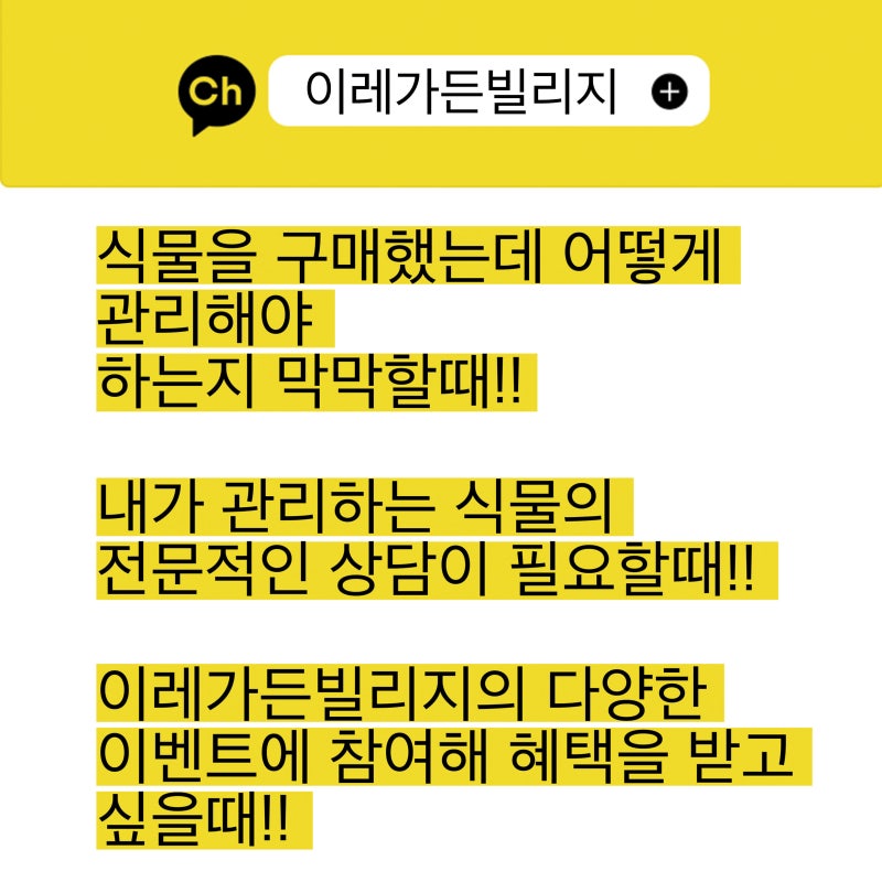 [공지]이레가든빌리지 카카오채널이 오픈되었습니다.
