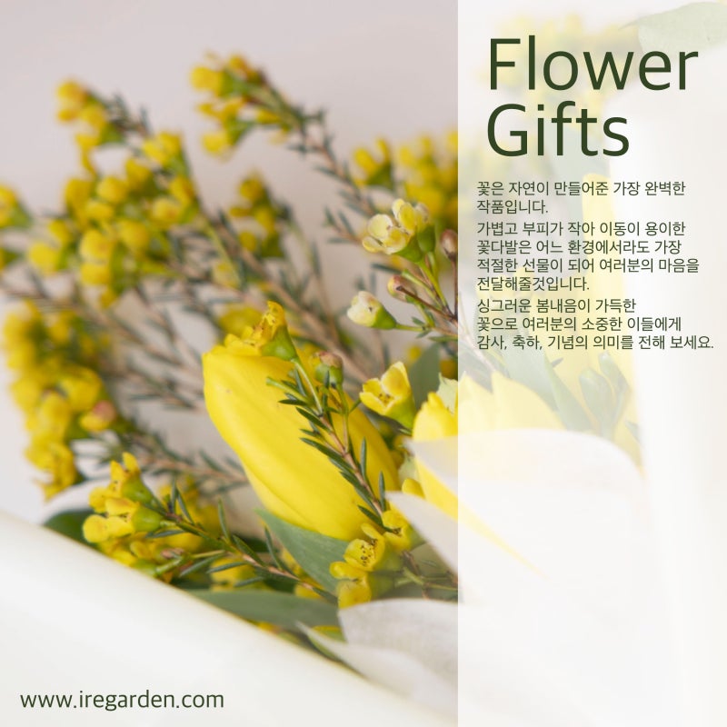 우리의 일상에 감성한스푼 더하는 Flower-gifts '꽃다발'을 소개합니다.