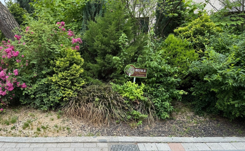 대단지 아파트 조경공간 '야생화 화단' 조성 프로젝트